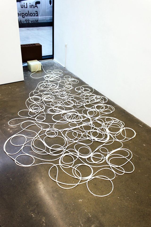 328 feet of tubing filled with synthetic milk, as part of the piece, “Untitled (Pumping; Feeding Through Space and Time).”